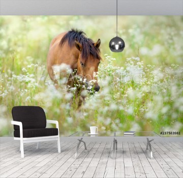 Bild på Bay horse on flowers meadow